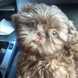 Meet your Posher, Heather